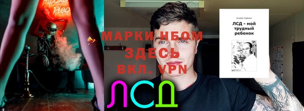 ПСИЛОЦИБИНОВЫЕ ГРИБЫ Алзамай