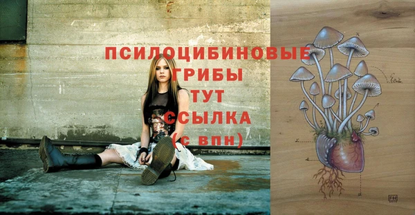 PSILOCYBIN Алексеевка
