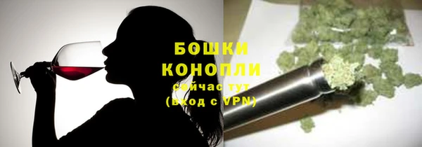 ПСИЛОЦИБИНОВЫЕ ГРИБЫ Алзамай