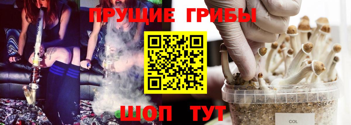 Ревда  Псилоцибиновые грибы Cubensis  Вход с VPN 
